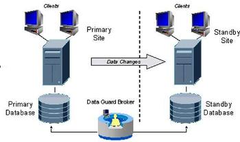ترجمه مقاله معماری پایگاه داده (Database)