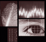 ترجمه مقاله پردازش تصاویر کامپیوتری